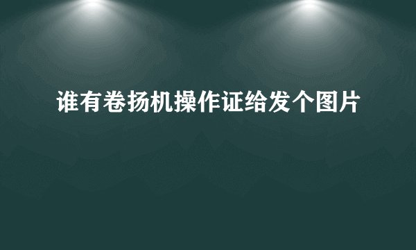 谁有卷扬机操作证给发个图片