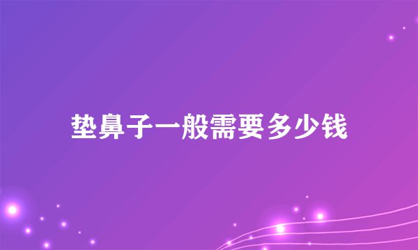 垫鼻子一般需要多少钱