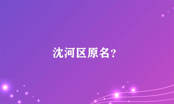 沈河区原名？