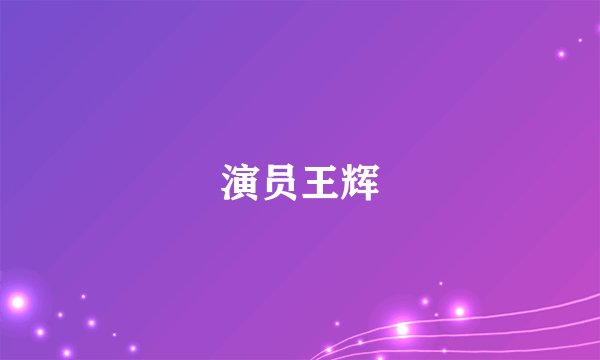 演员王辉