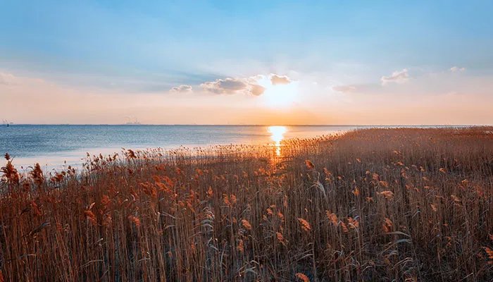 西沙湿地公园在哪 西沙湿地公园具体位置