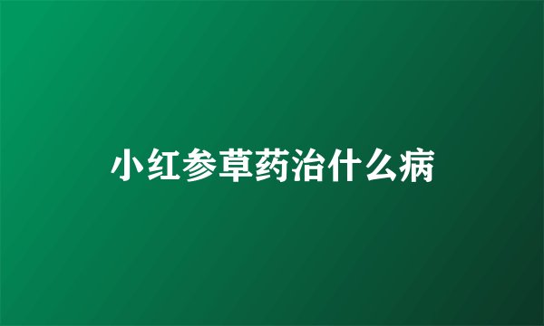 小红参草药治什么病