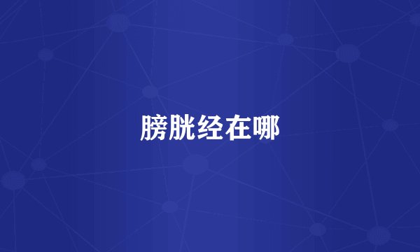膀胱经在哪