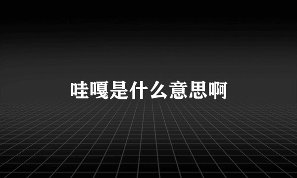 哇嘎是什么意思啊