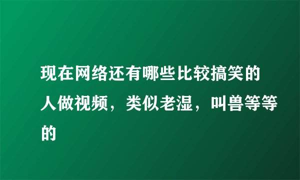 现在网络还有哪些比较搞笑的人做视频，类似老湿，叫兽等等的