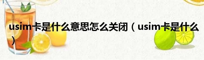 usim卡是什么意思怎么关闭（usim卡是什么）