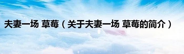 夫妻一场 草莓（关于夫妻一场 草莓的简介）