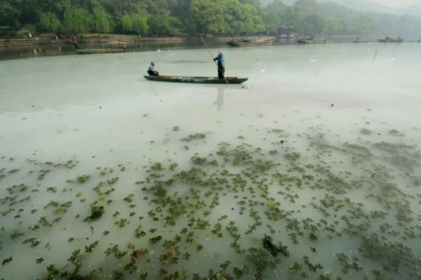塑料袋和纸袋哪个更环保?