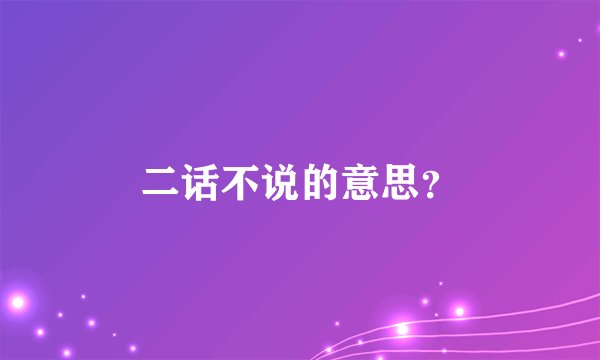 二话不说的意思？