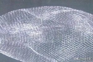 下水道反味儿有什么解决方法？