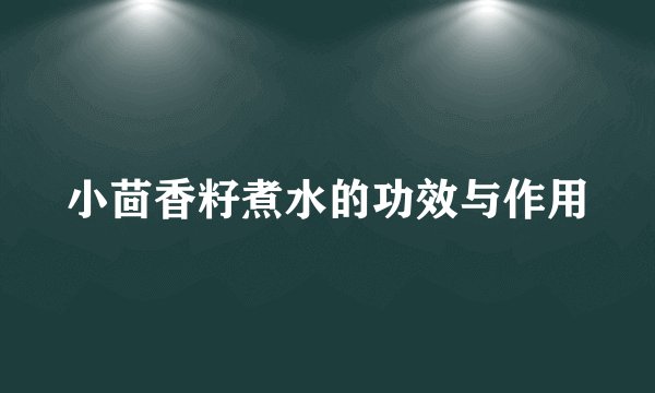 小茴香籽煮水的功效与作用