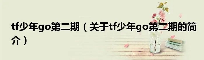tf少年go第二期（关于tf少年go第二期的简介）
