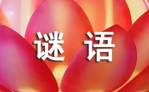 一年级猜字谜语