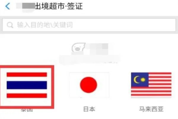 该怎么网上签证