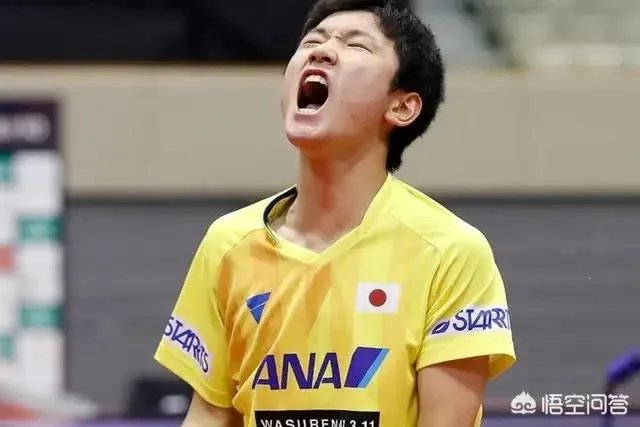樊振东4:1逆转张本智和晋级2019年亚洲杯男单决赛,如何评价本场比赛双方的表现?