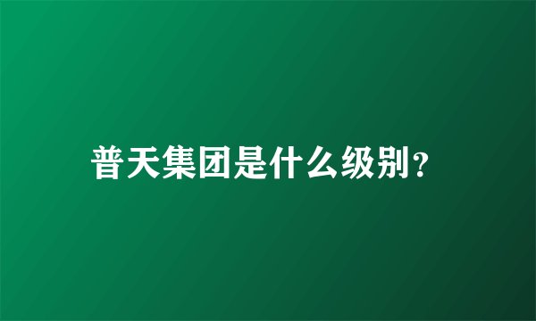 普天集团是什么级别？