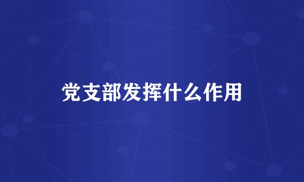 党支部发挥什么作用