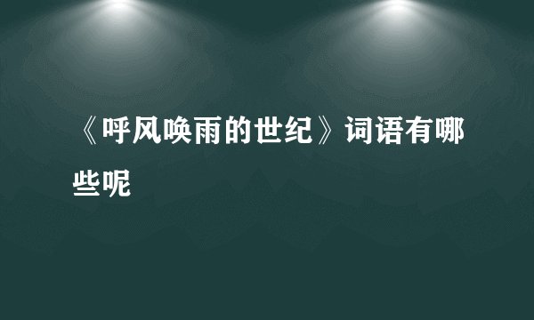 《呼风唤雨的世纪》词语有哪些呢