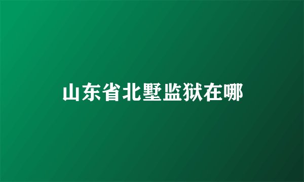 山东省北墅监狱在哪
