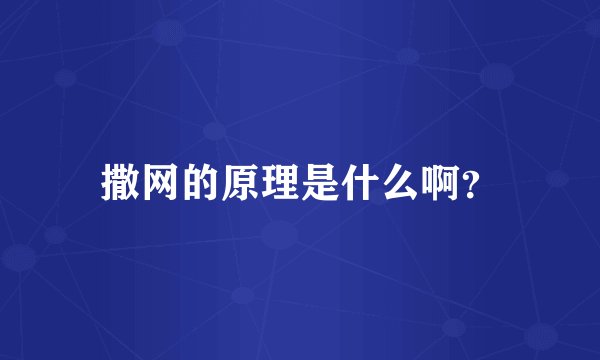 撒网的原理是什么啊?