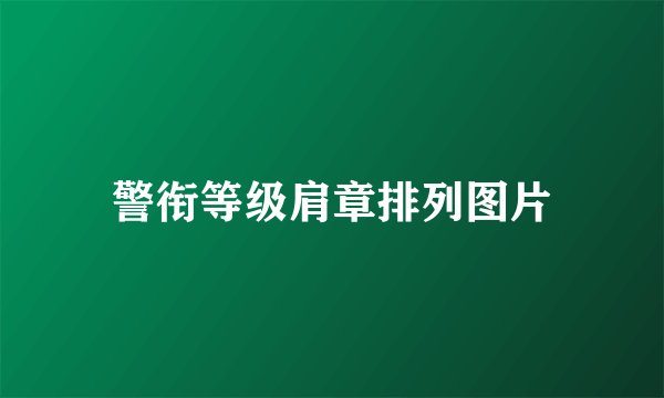 警衔等级肩章排列图片