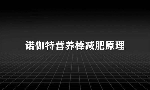 诺伽特营养棒减肥原理