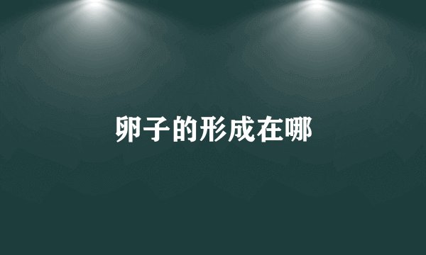 卵子的形成在哪