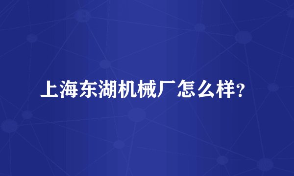 上海东湖机械厂怎么样?