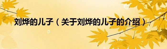 刘烨的儿子（关于刘烨的儿子的介绍）