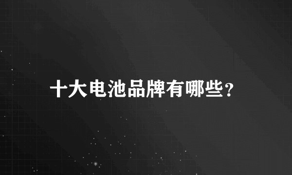 十大电池品牌有哪些？