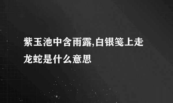 紫玉池中含雨露,白银笺上走龙蛇是什么意思