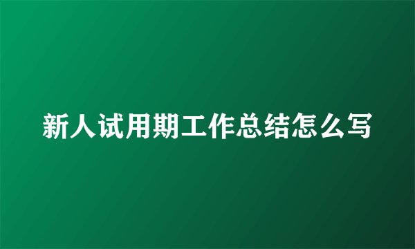 新人试用期工作总结怎么写