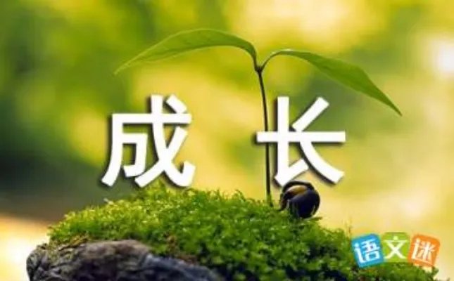 成长的脚步