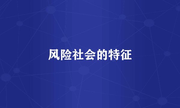 风险社会的特征