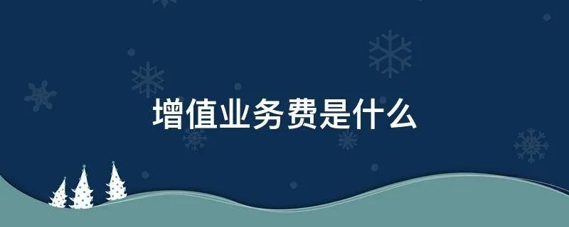 增值业务费是什么
