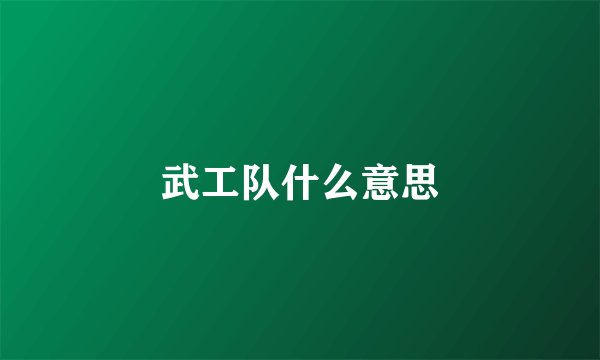 武工队什么意思
