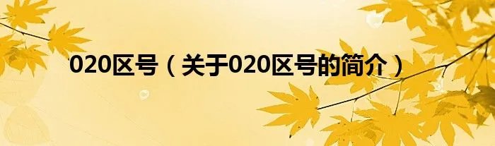 020区号(关于020区号的简介)