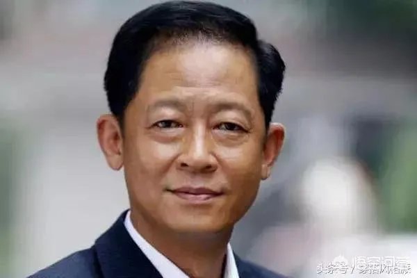 你怎么看电视剧《归去来》中王志文扮演的书望?