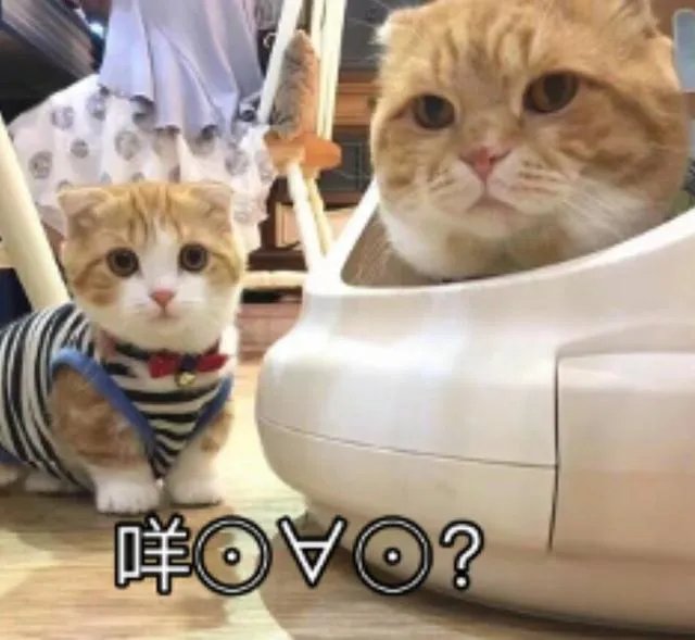 网络与新媒体专业怎么样?