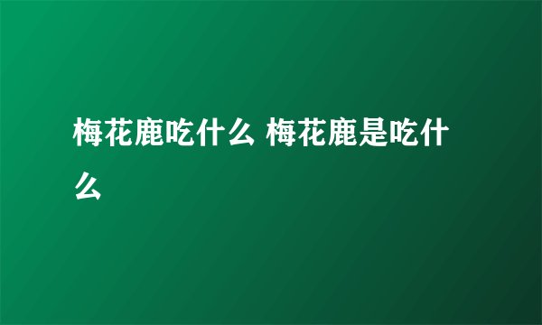 梅花鹿吃什么 梅花鹿是吃什么
