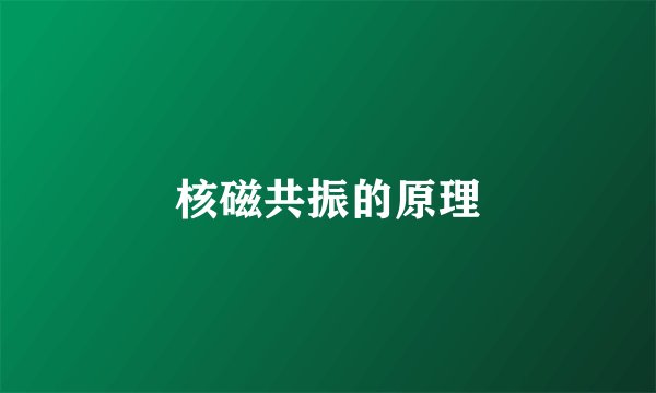 核磁共振的原理