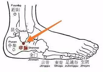详细脚部穴位图解