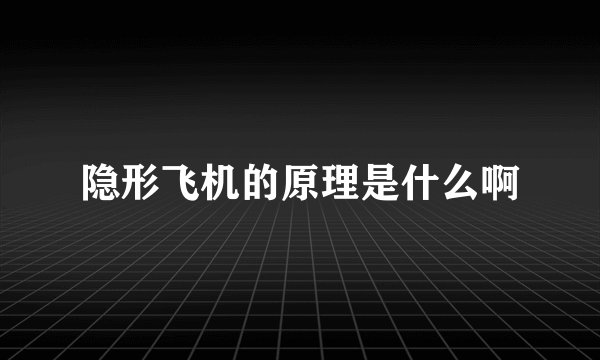 隐形飞机的原理是什么啊