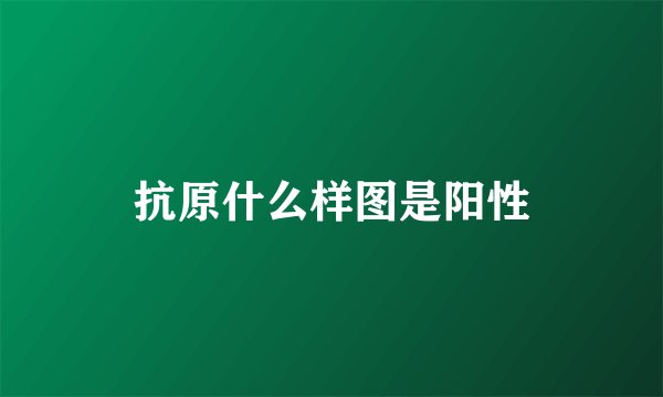 抗原什么样图是阳性