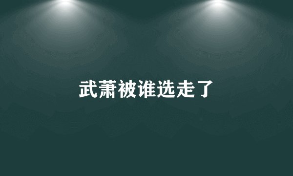 武萧被谁选走了