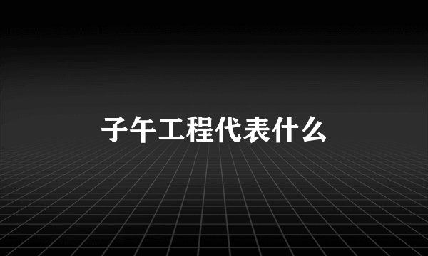 子午工程代表什么