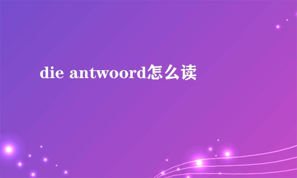 die antwoord怎么读