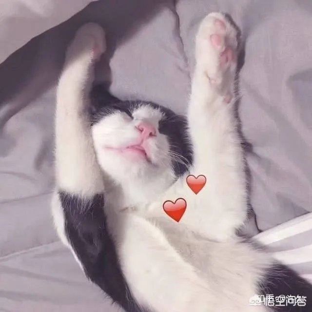 南宁找工作