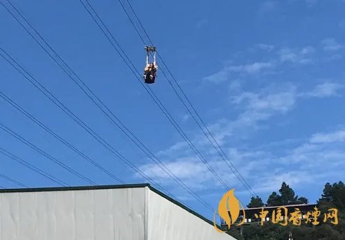 重庆回应女子玩高空项目坠落:坠落者为景区工作人员