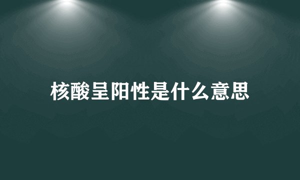 核酸呈阳性是什么意思